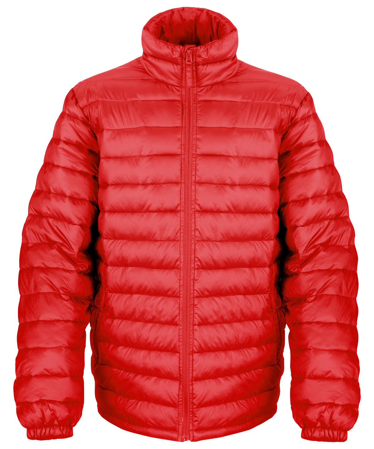 Ice bird padded jacket