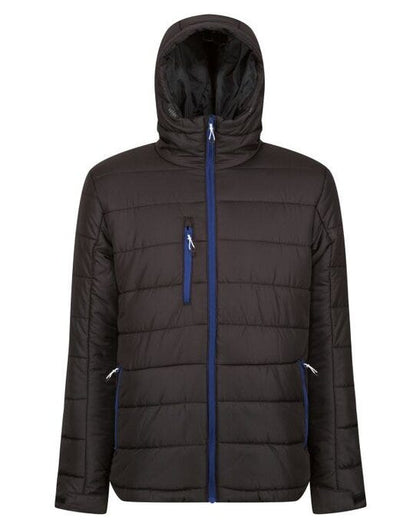 Regatta Professional Regatta Men's Navigate Thermal Jacket - Black/ New Royal