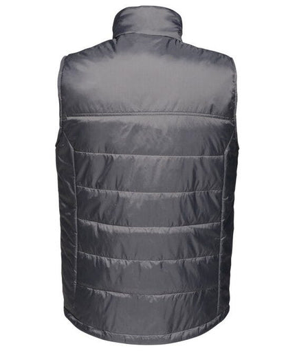 Regatta Professional Regatta Mens Stage II Insulated B'Warmer - Seal Grey