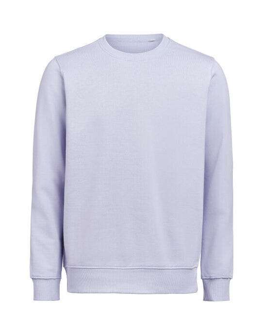 Untagged Movement UM Crewneck Regular Fit OCS/RCS - Aster